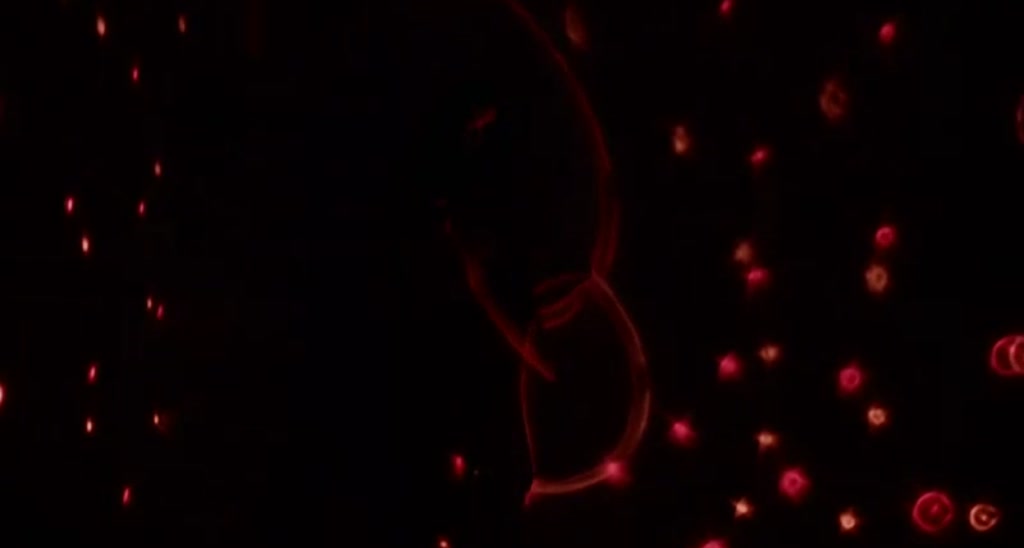 aLeDoll video thumbnail