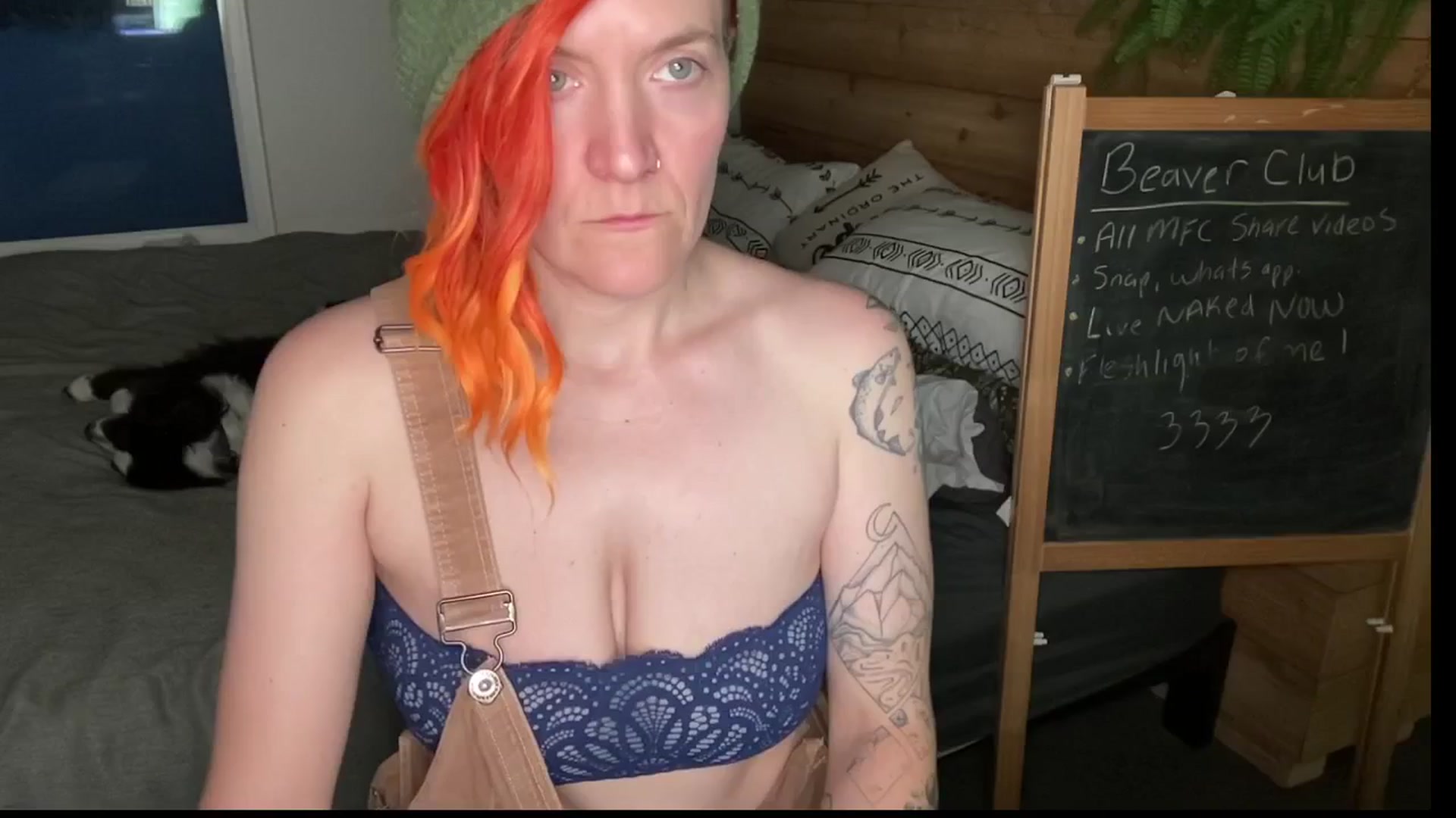 PurrtyMetal video thumbnail