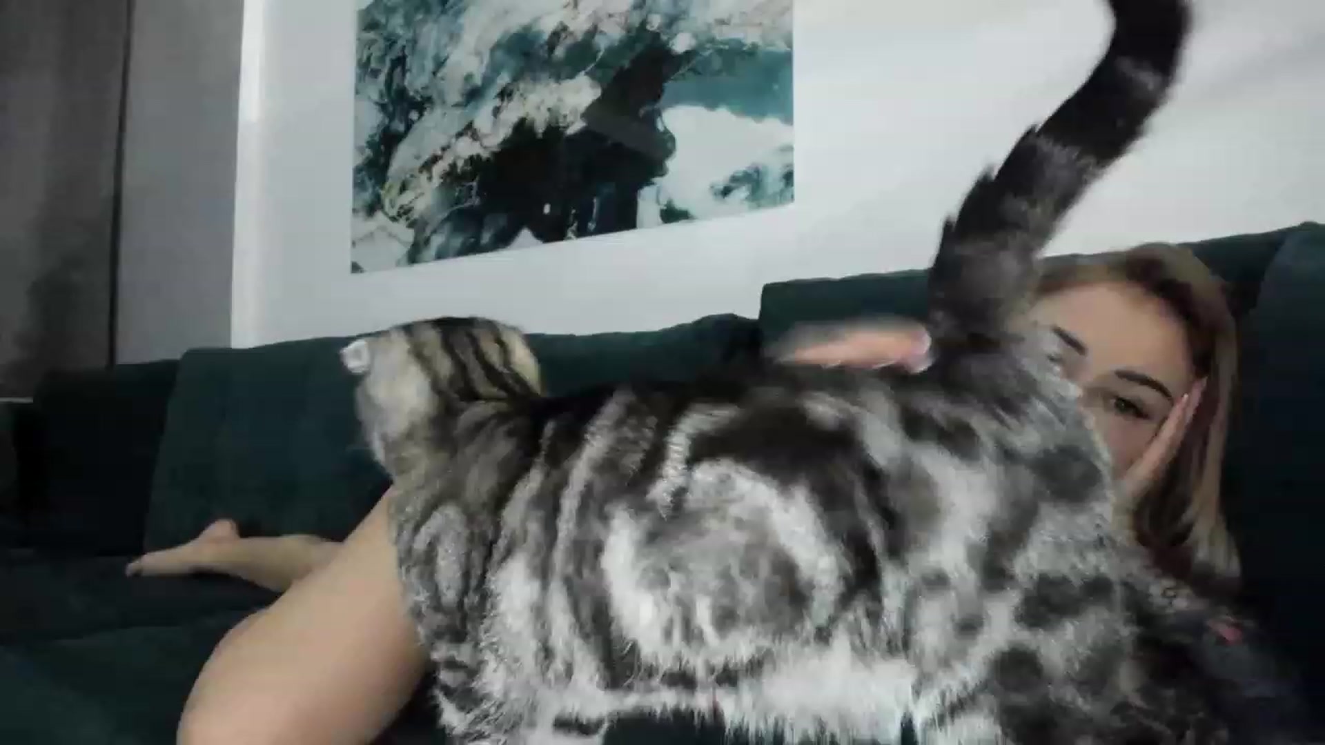 AAA_Yas video thumbnail