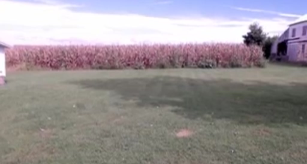 FarmGirl__ video thumbnail