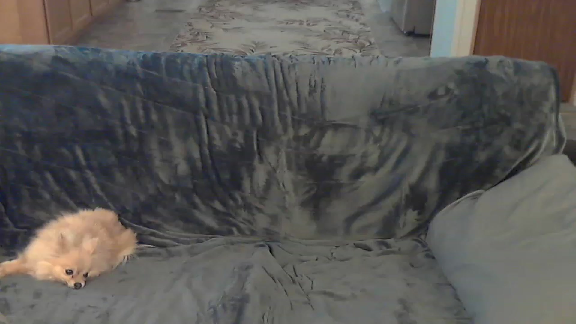 Country_vixen video thumbnail