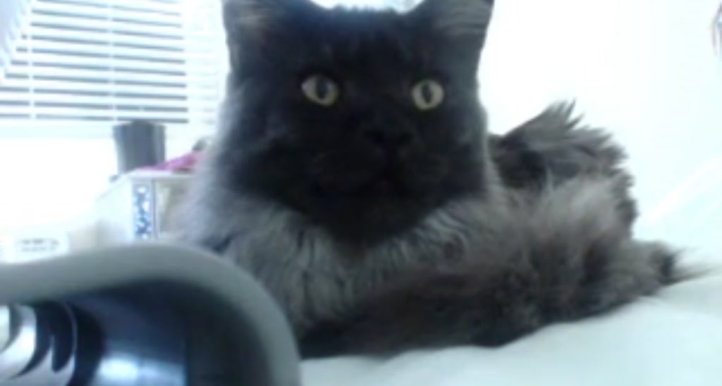 Katie video thumbnail