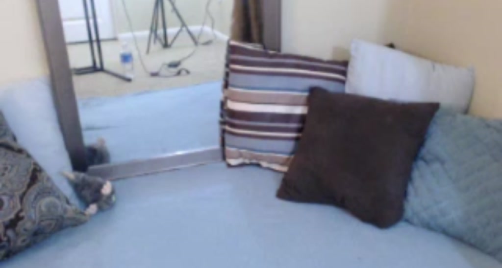 emilylynne video thumbnail