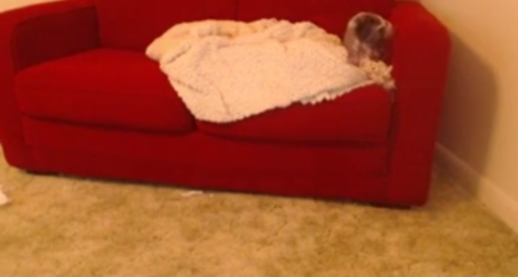 Casssie video thumbnail