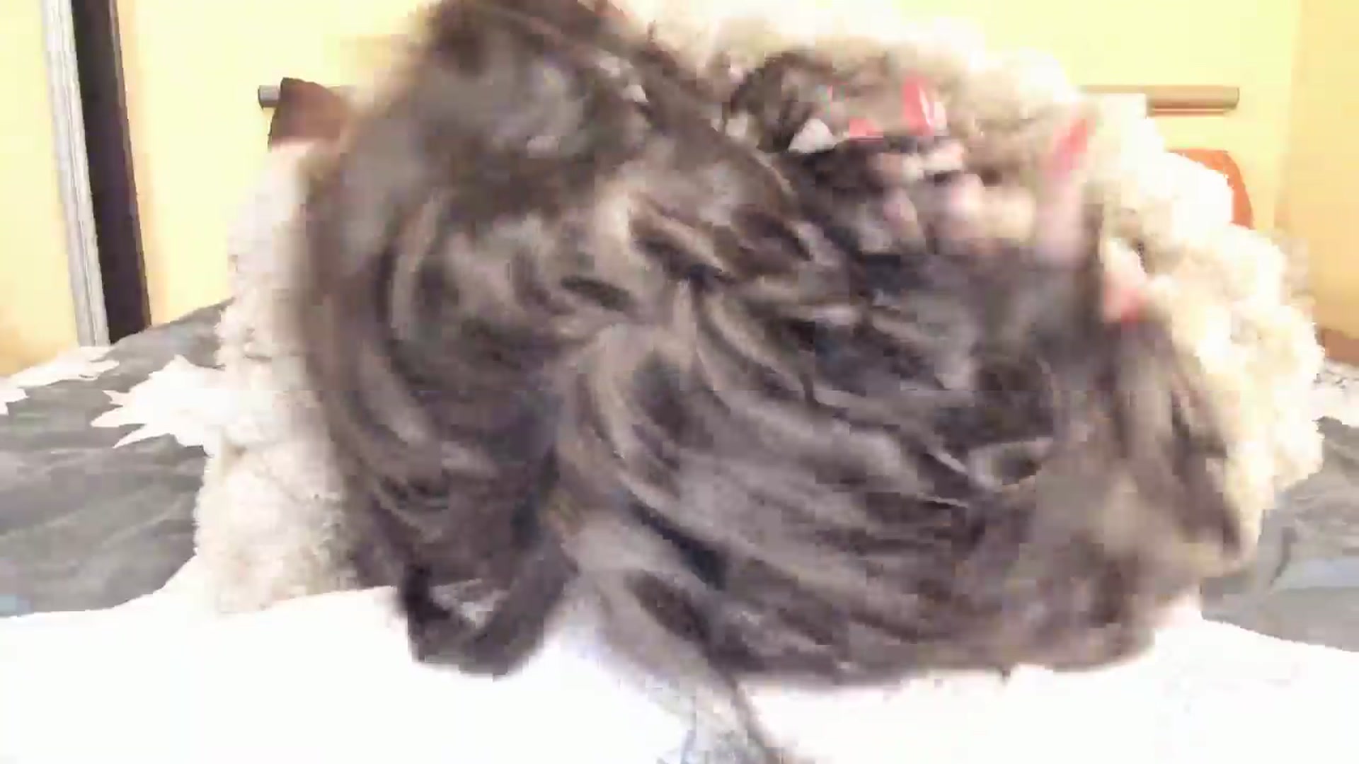 Baby_Jewel video thumbnail