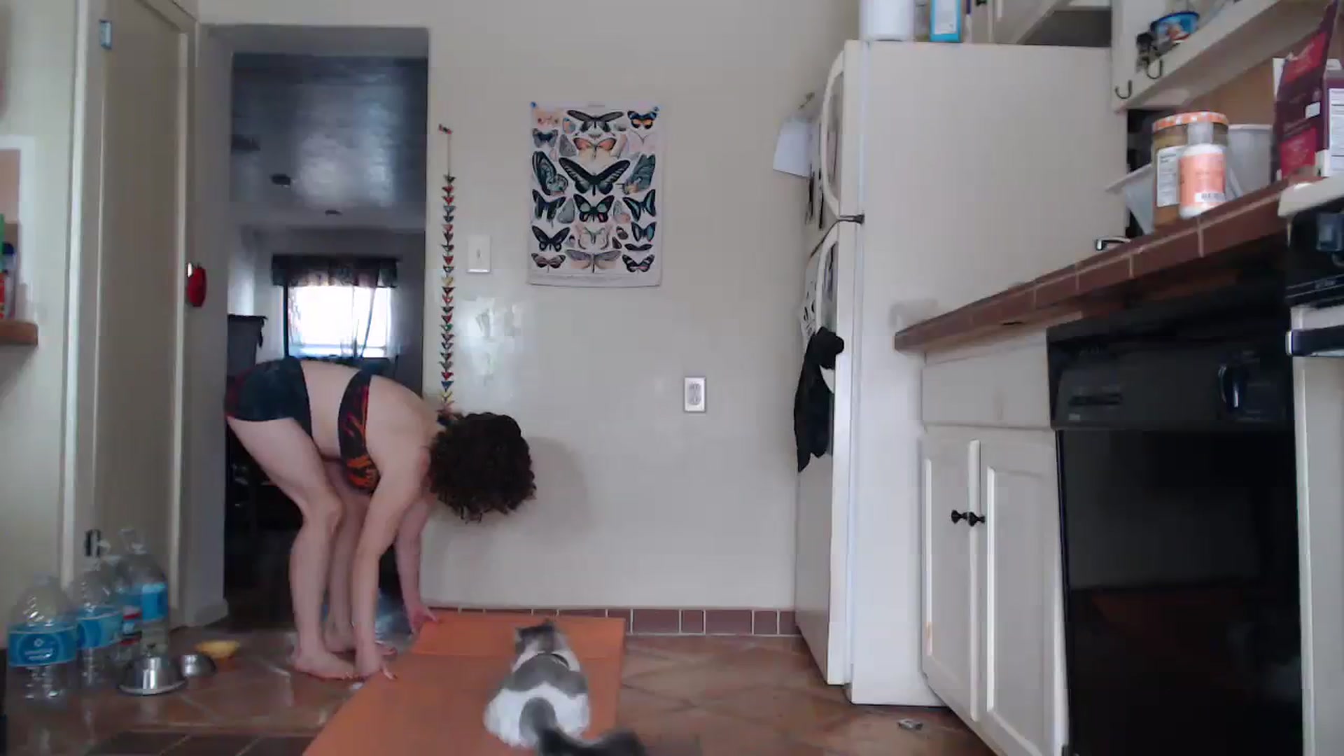 TrollopTaylor video thumbnail