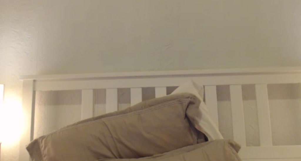LailaMcFluff video thumbnail