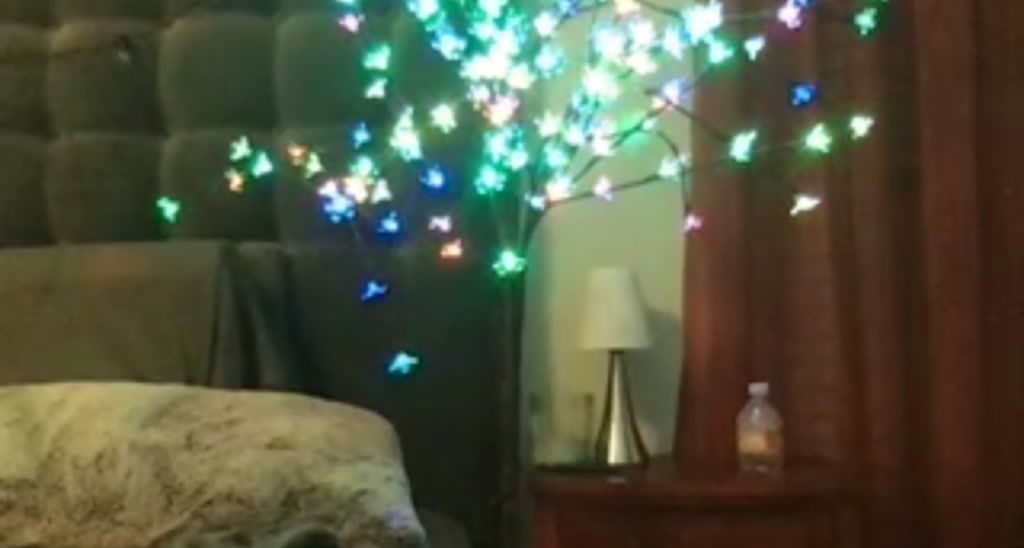 Elainaaxoxo video thumbnail