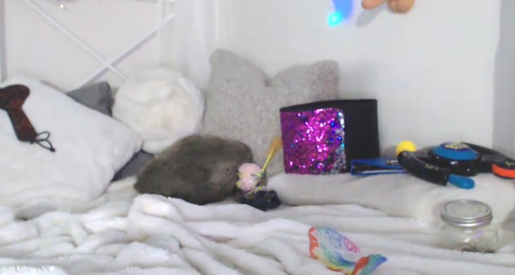 kaydolll video thumbnail