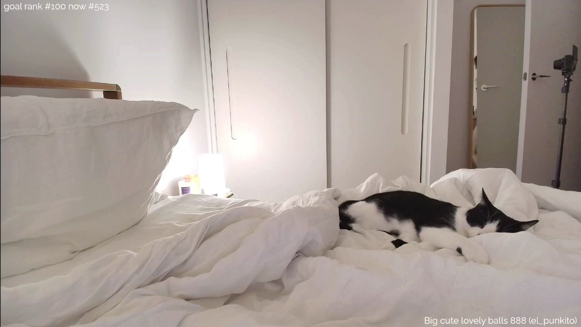 https_sophie video thumbnail
