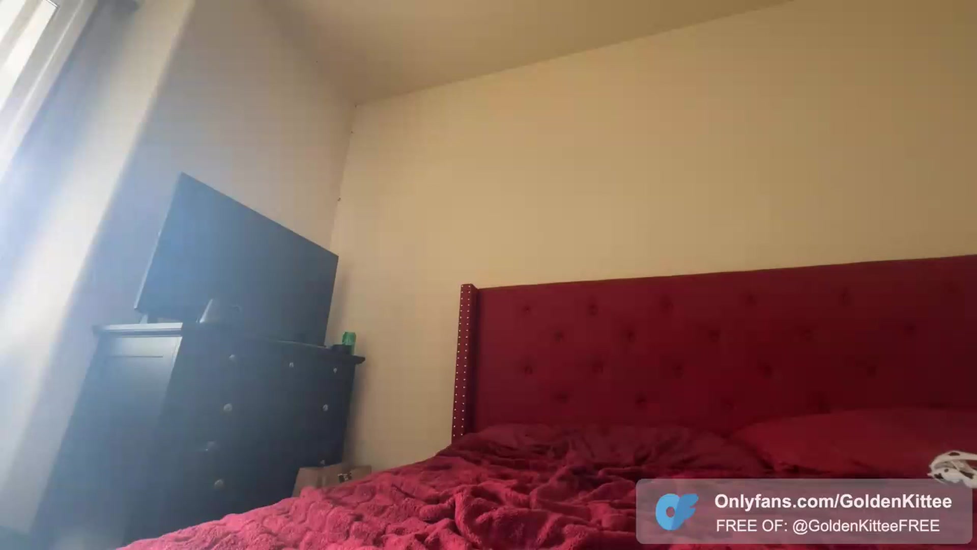 GoldenKittee video thumbnail