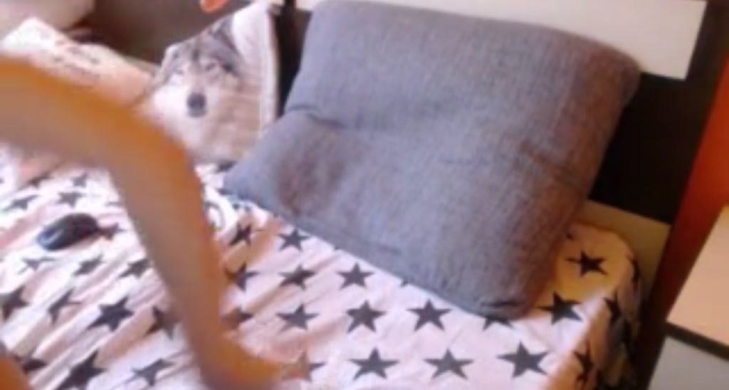 Natashabela video thumbnail