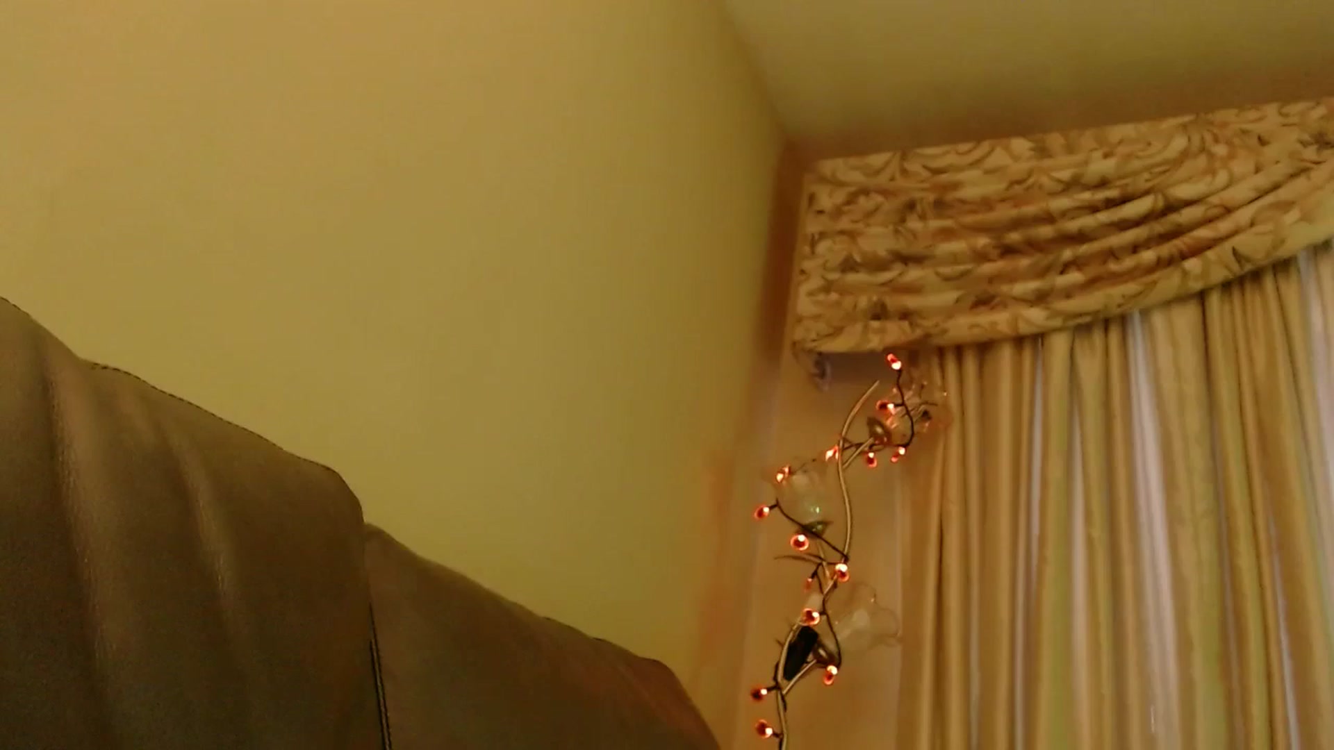 PokeAPuss video thumbnail