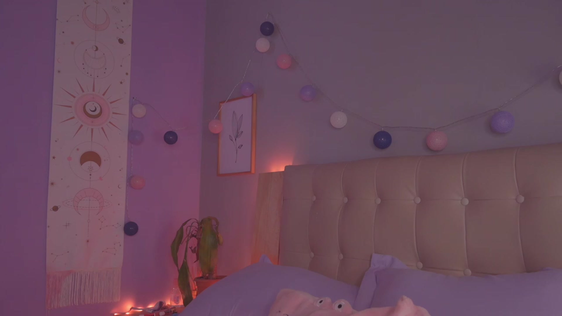 kittennmoon video thumbnail