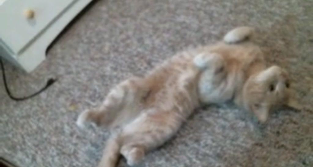 AriaMarie__ video thumbnail