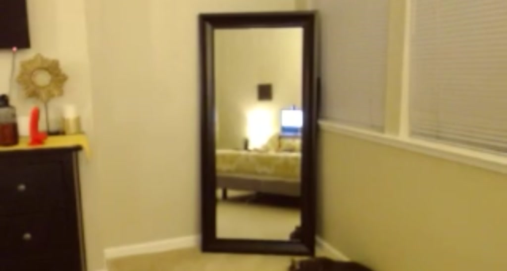 SunnySuzan_ video thumbnail