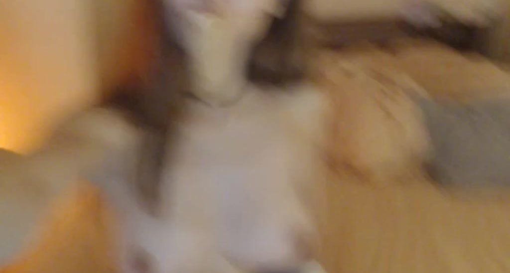 A_Young_fox video thumbnail