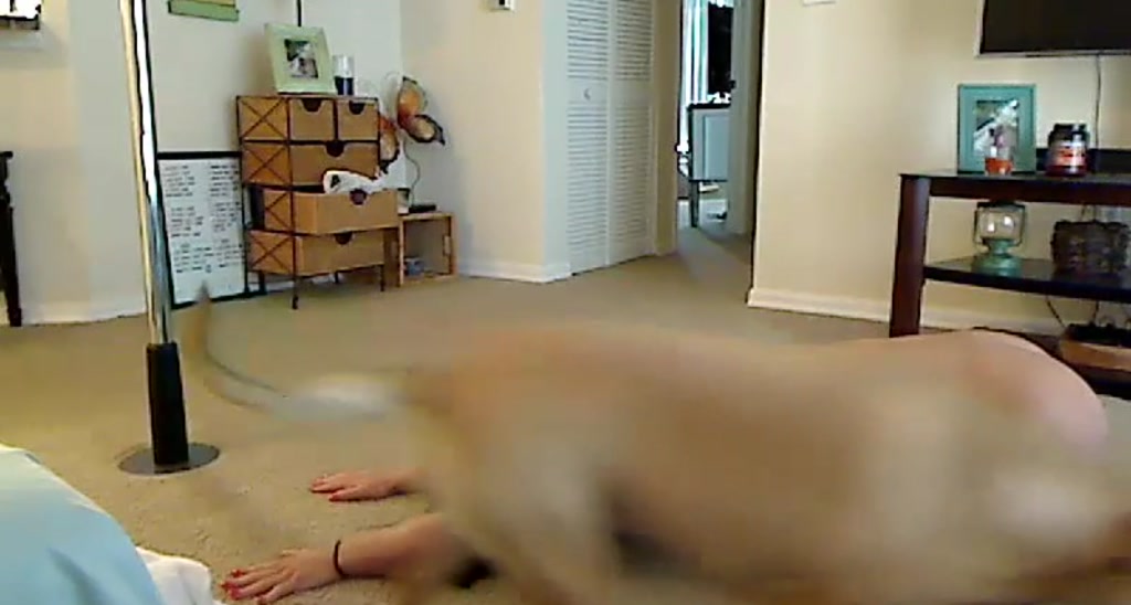 HallieHarper video thumbnail