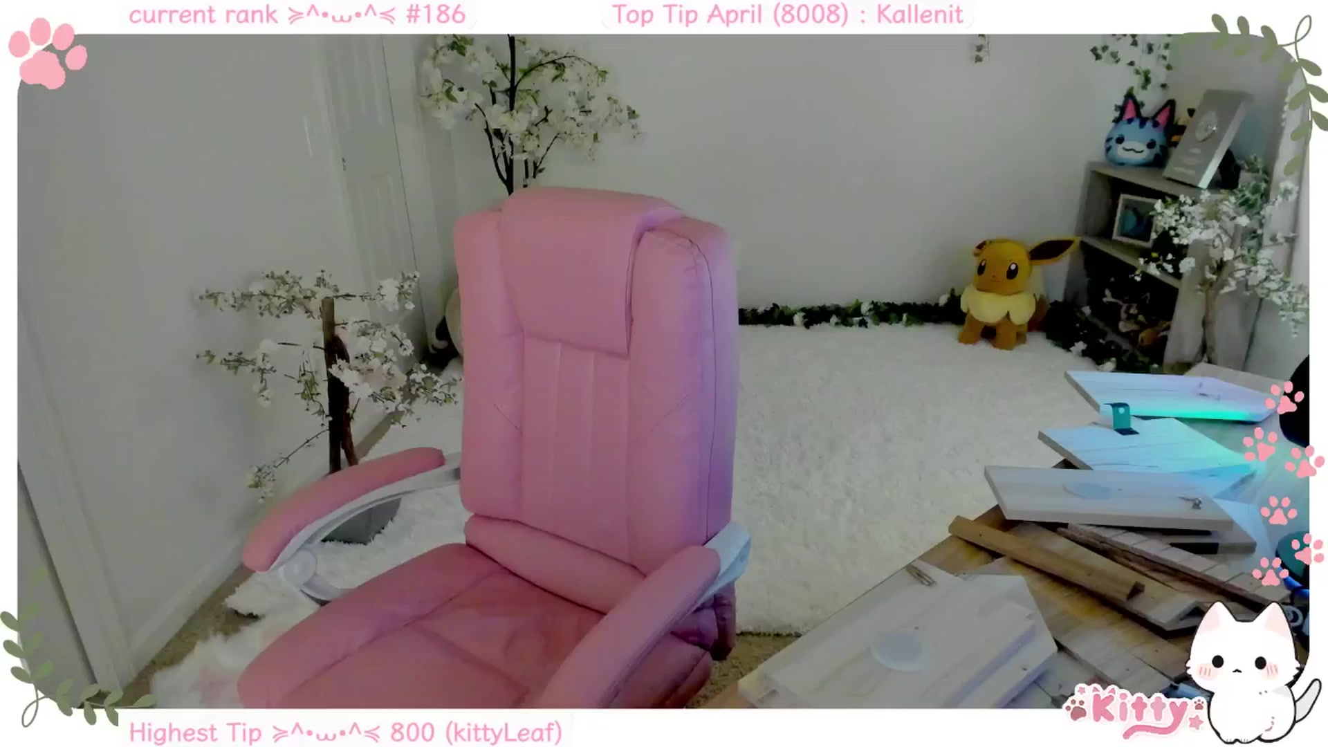 Kitty video thumbnail