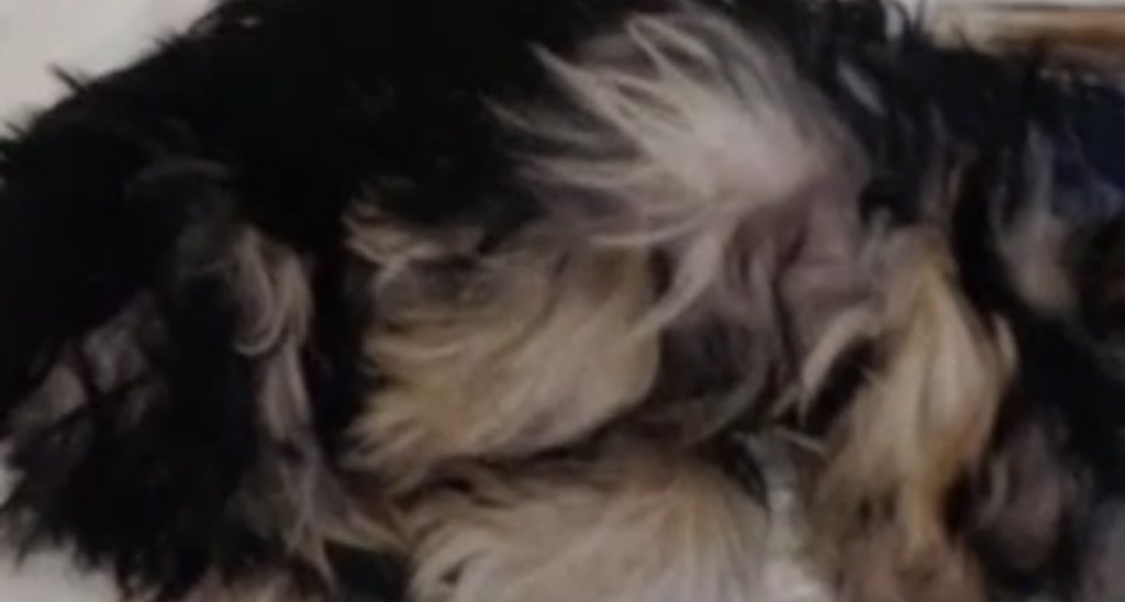 Seraphine_ video thumbnail