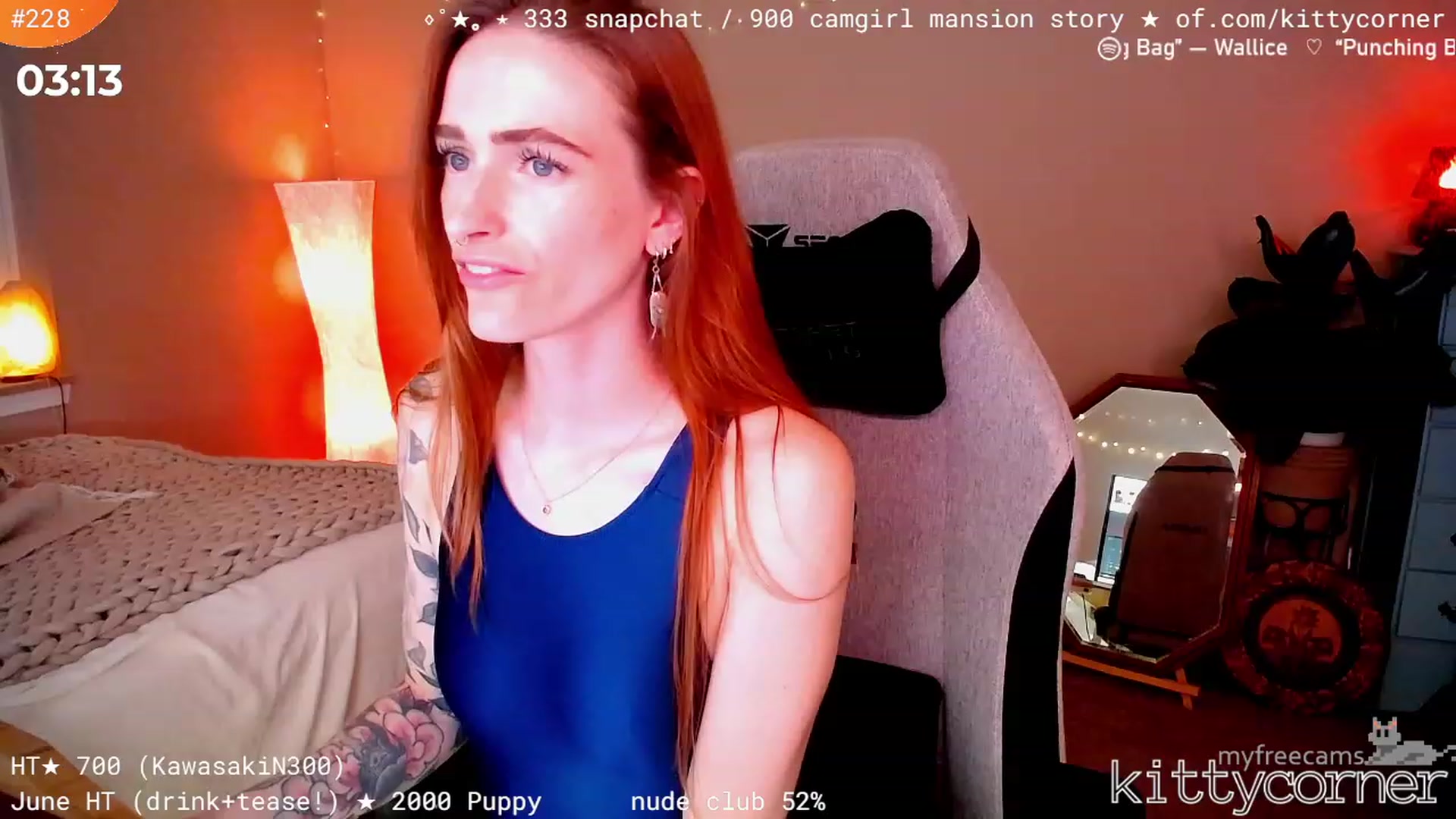 KittyCorner video thumbnail