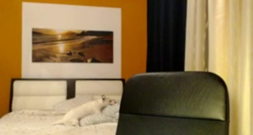 Ale__X video thumbnail