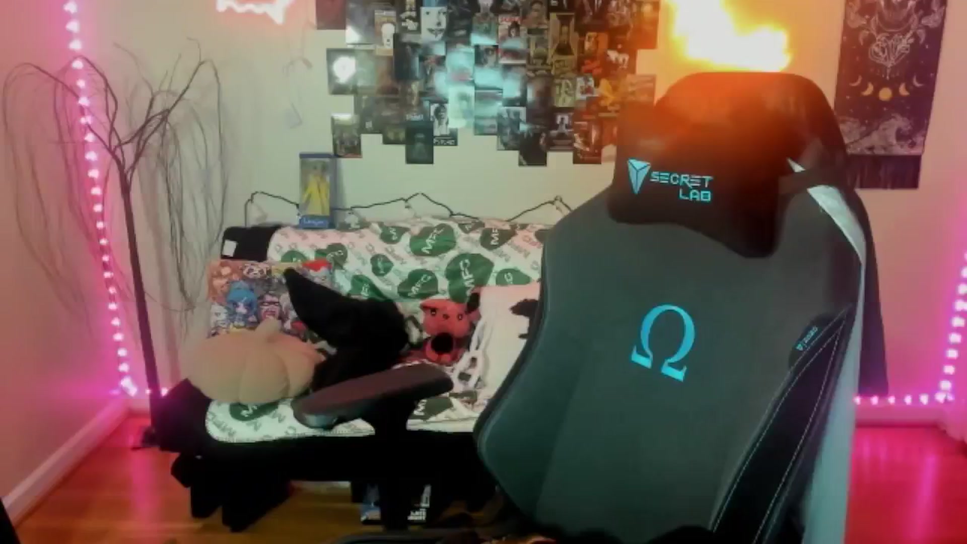 CallieMyers video thumbnail