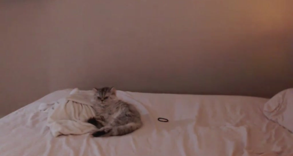 MeowKattie video thumbnail