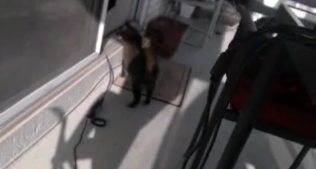 MaryWana_ video thumbnail