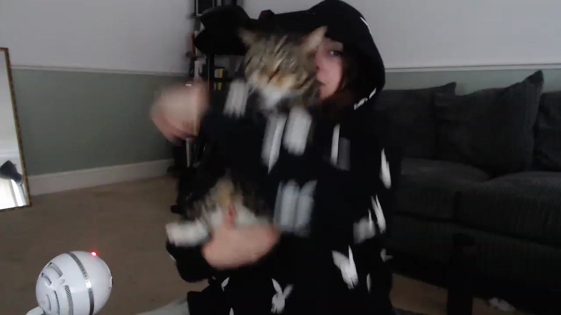 KittyCash3w video thumbnail
