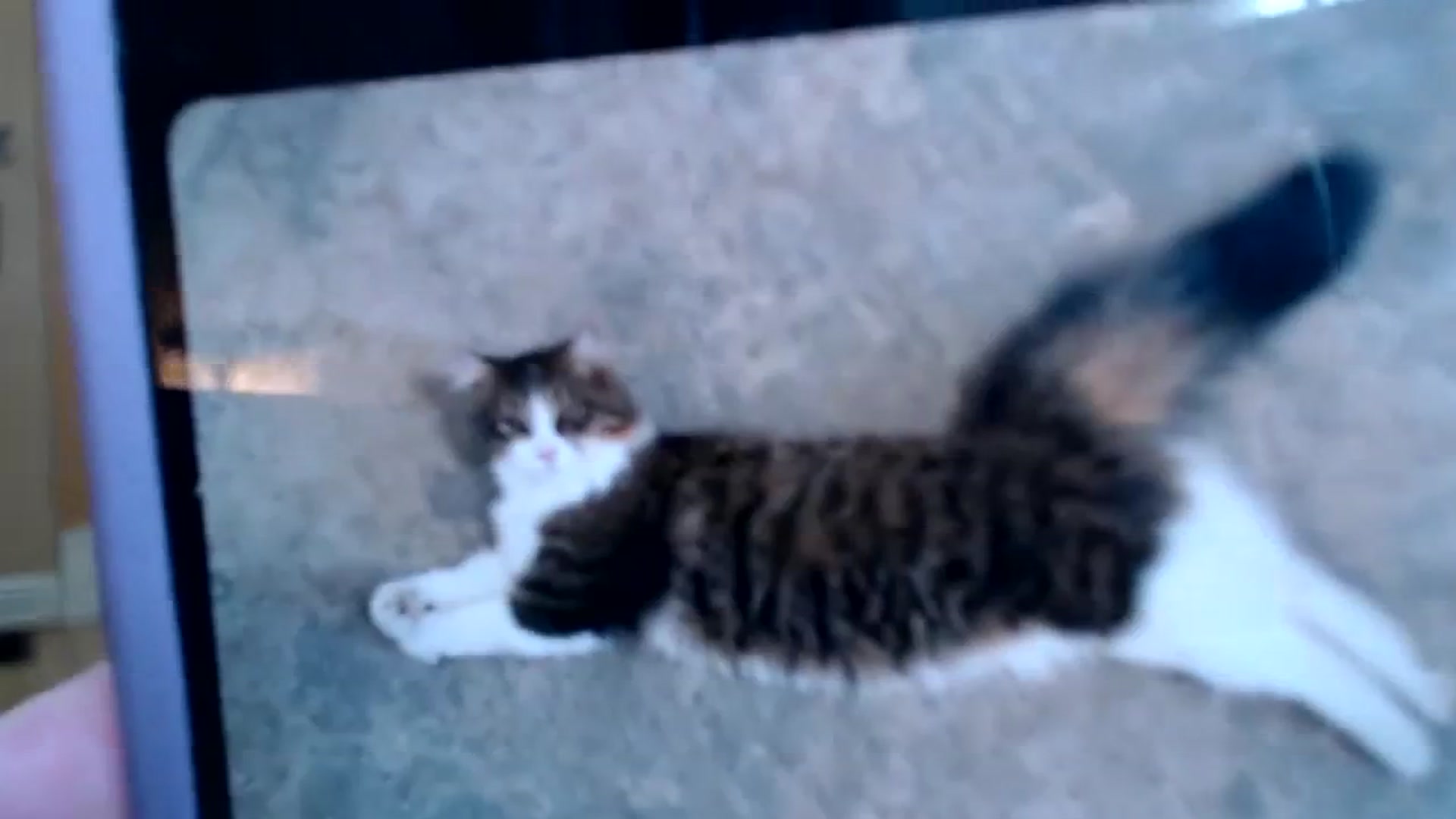FarmGirl__ video thumbnail