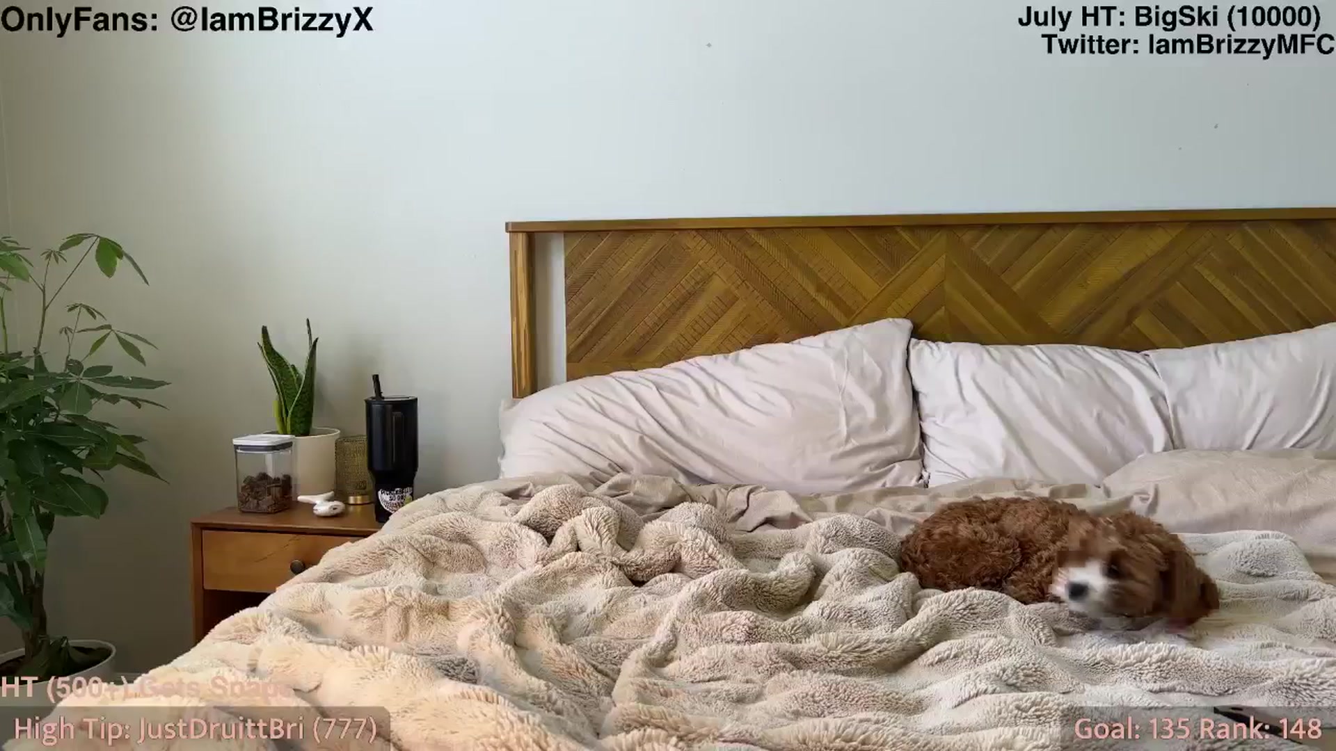 Brizzy video thumbnail