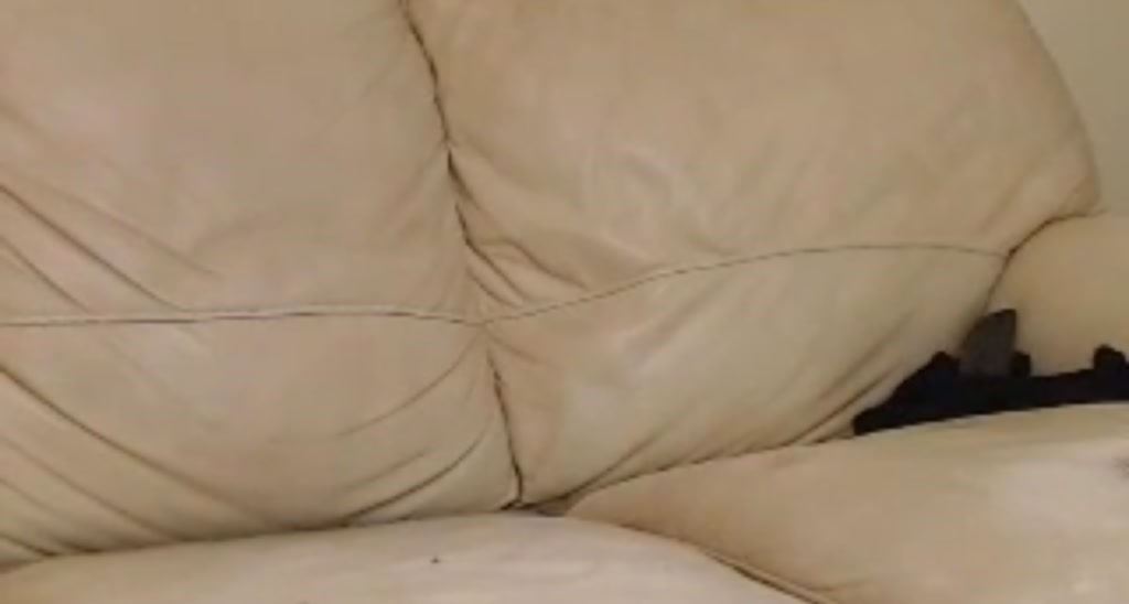 Addictedlegs video thumbnail