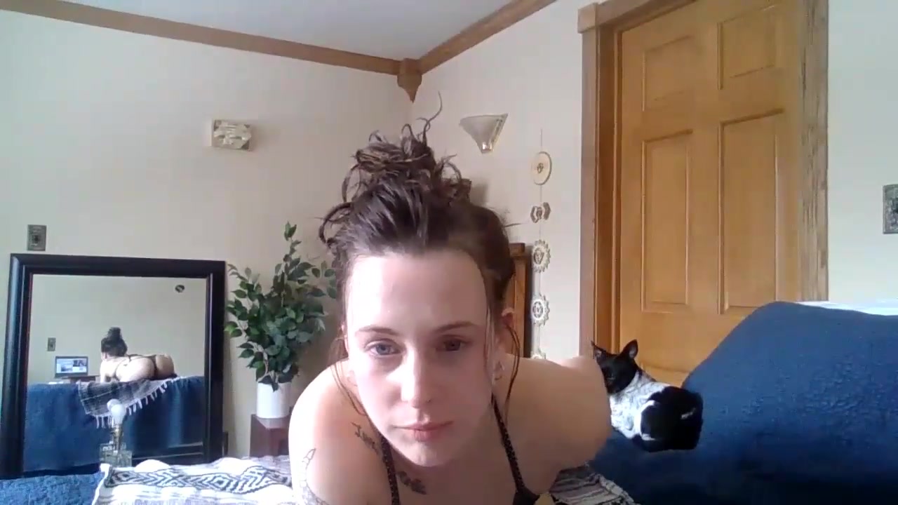 TigerMilker video thumbnail