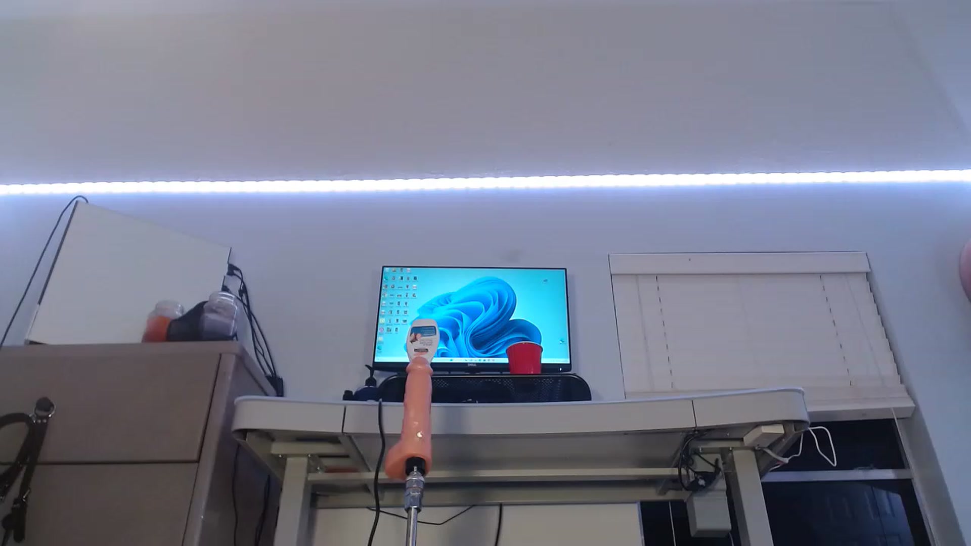 BunnyNextDoor video thumbnail