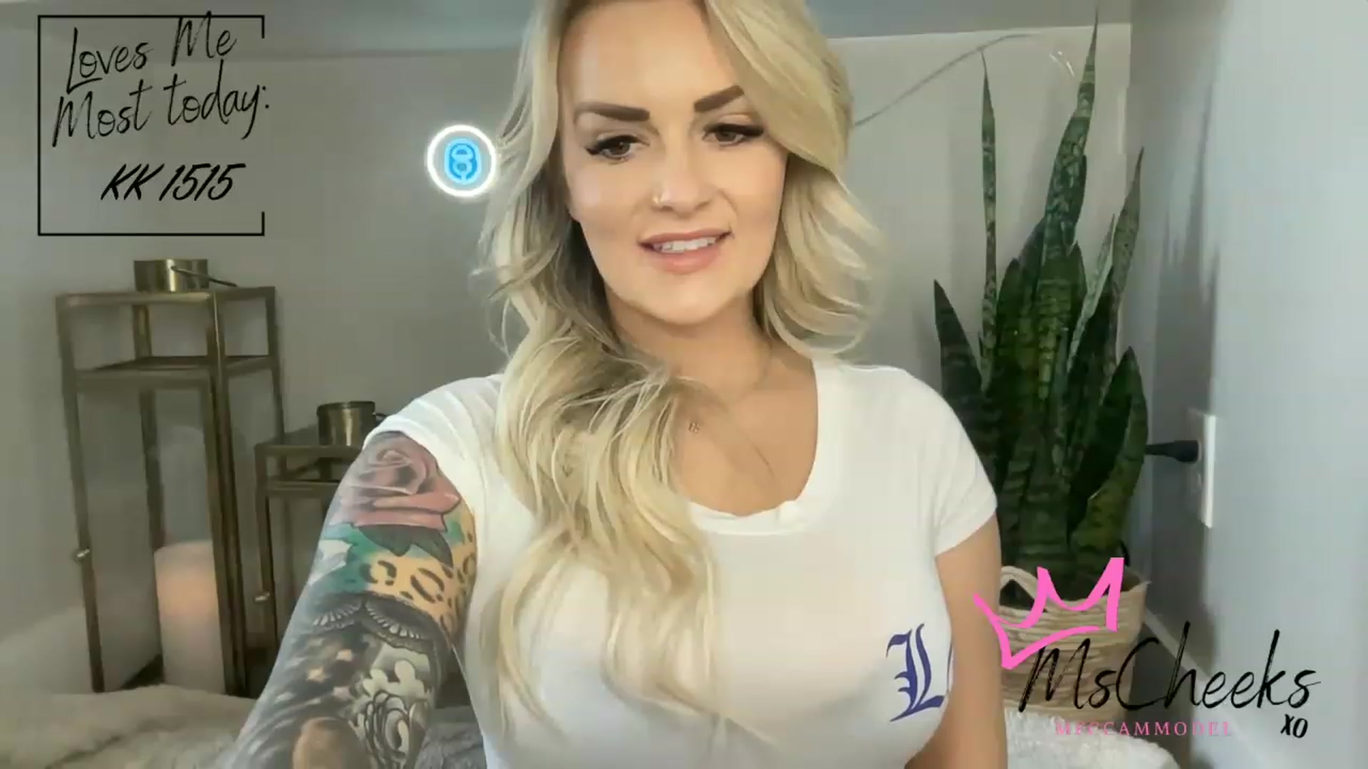 MFCCamModel video thumbnail