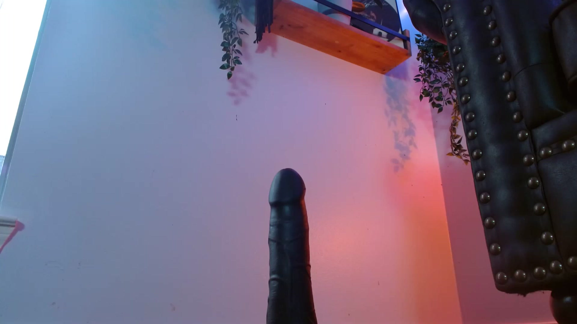BunnyNextDoor video thumbnail