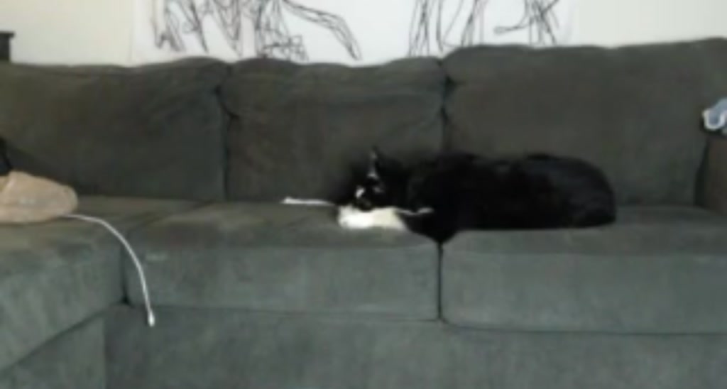 Belphoebe video thumbnail
