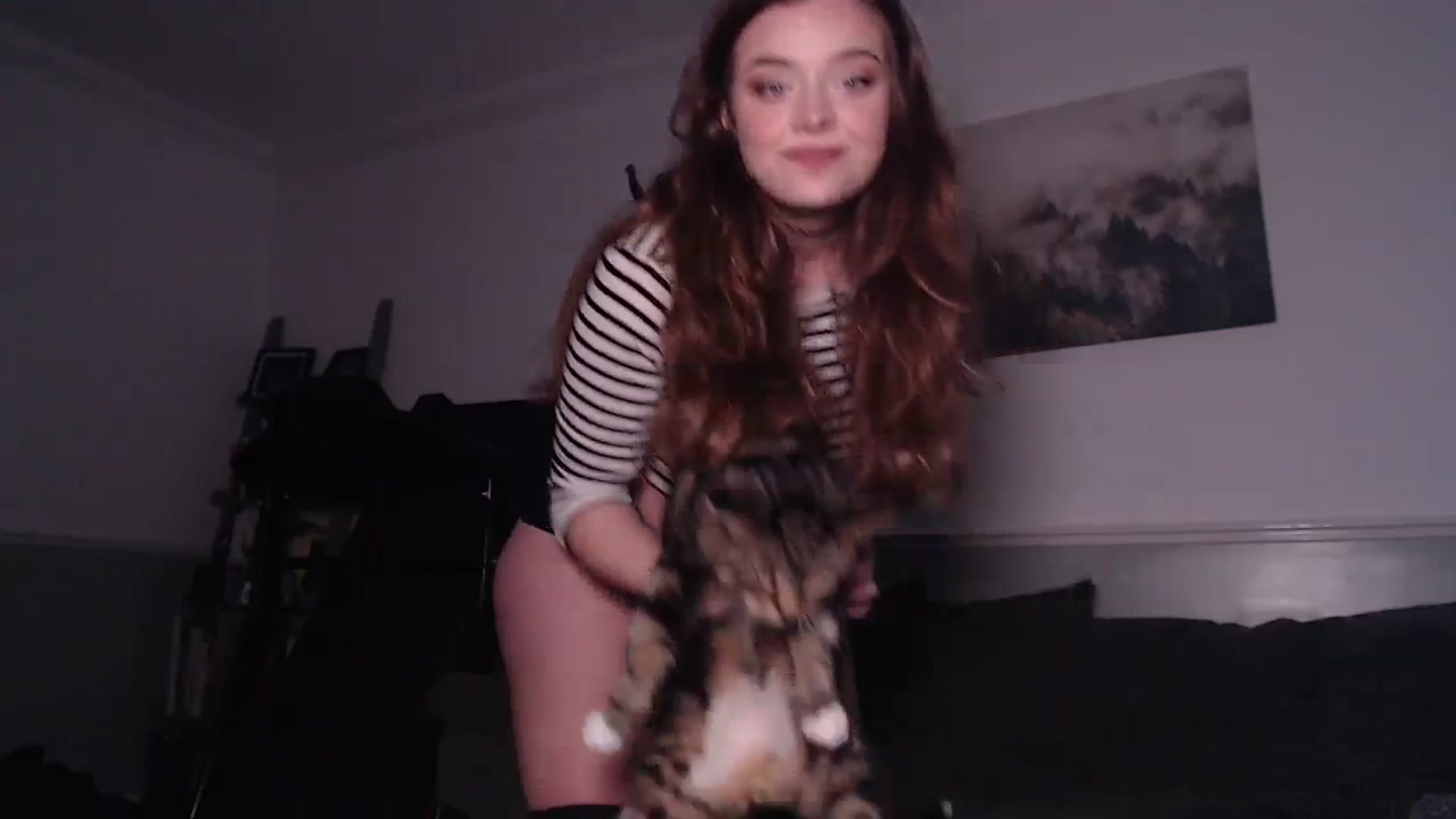 KittyCash3w video thumbnail