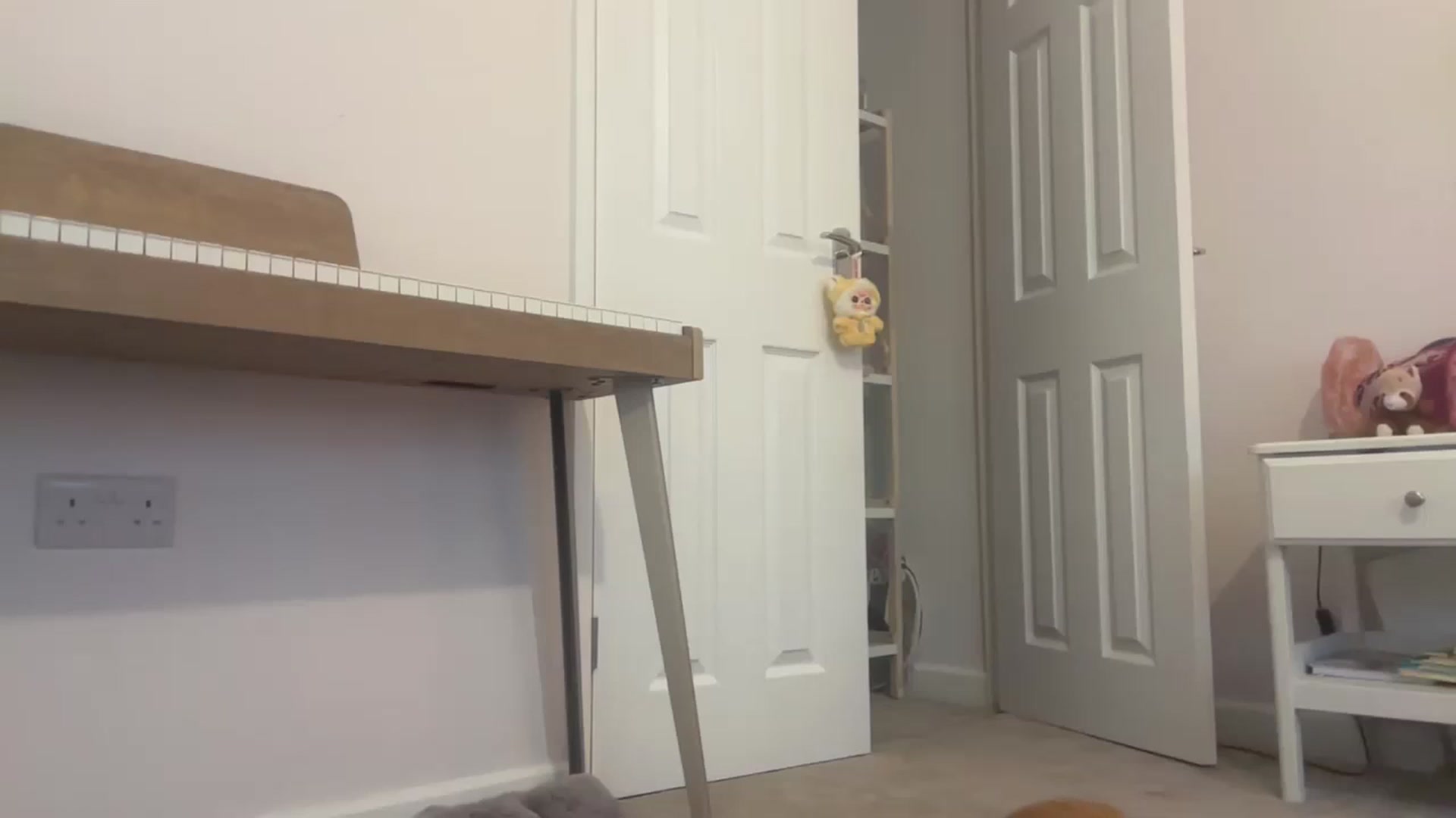 Courtney video thumbnail