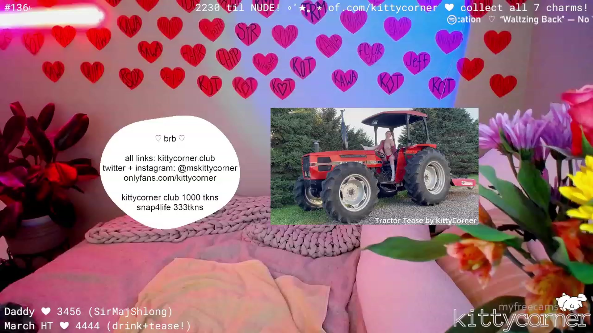 KittyCorner video thumbnail