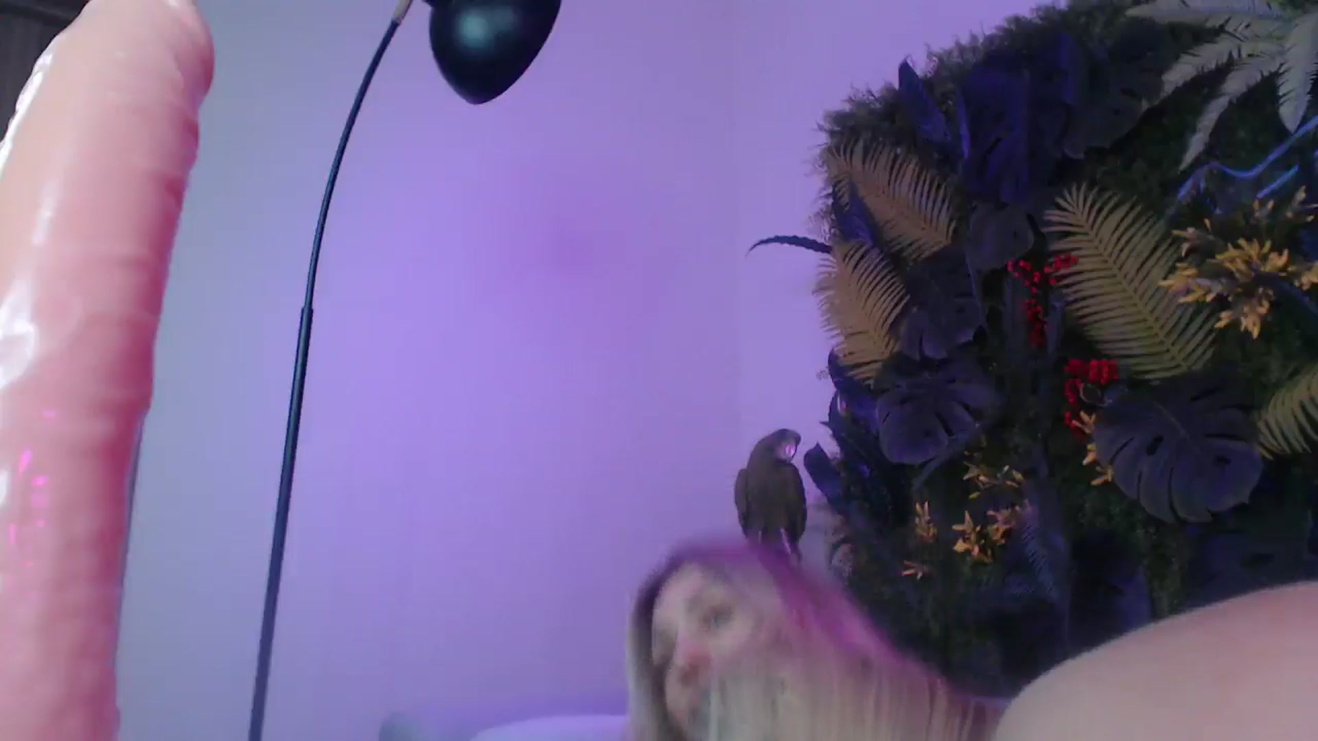 Horny_Blond video thumbnail