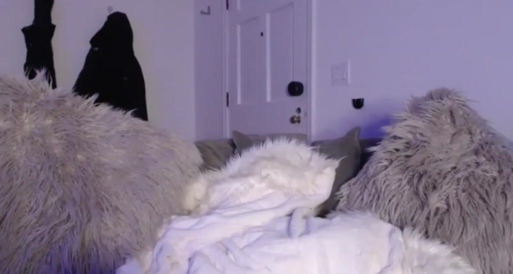 FaunaGrey video thumbnail