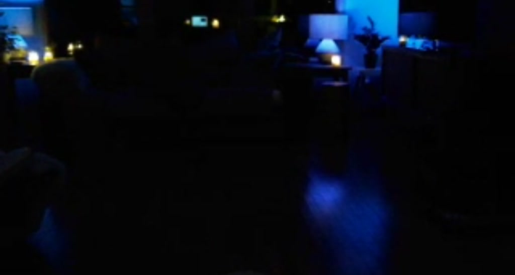 IndigoWild video thumbnail
