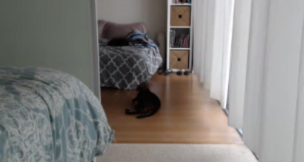 DaniiDoll video thumbnail