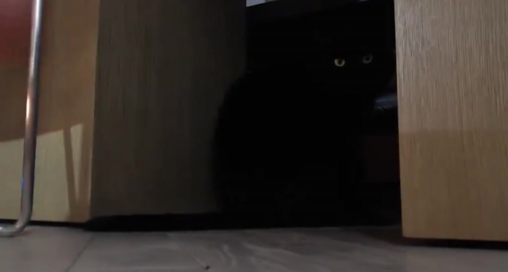 Alexis video thumbnail