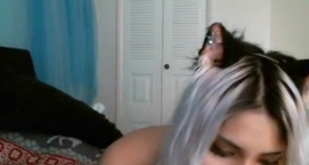 Theasianbunny video thumbnail