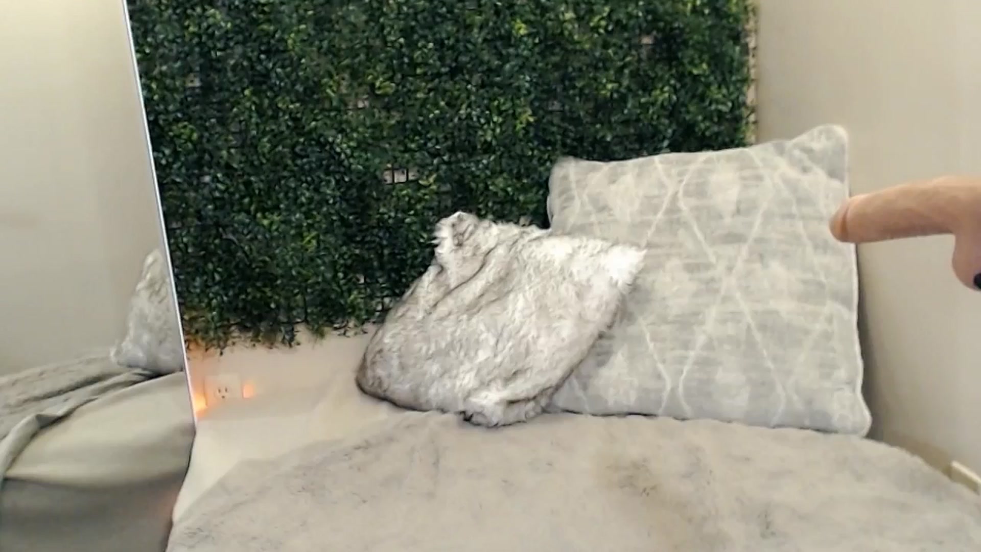 Divine_Honey video thumbnail
