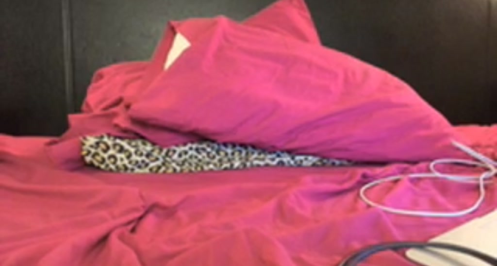 Laurel video thumbnail
