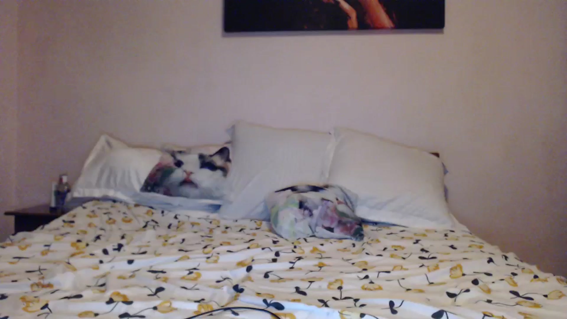 Aahh_Emilia video thumbnail